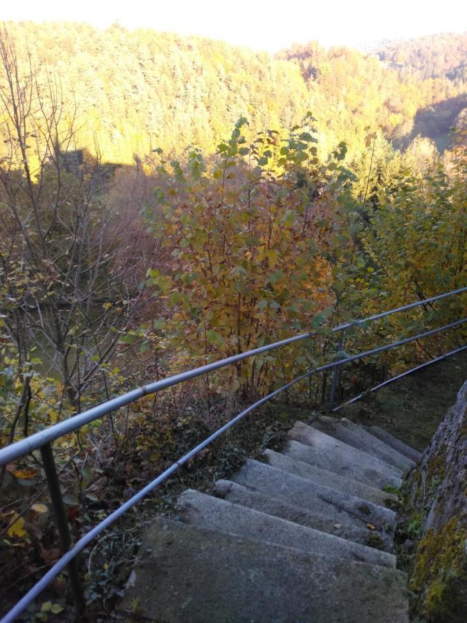 Urlaubspension Die Muehle Schöllnach Exteriör bild